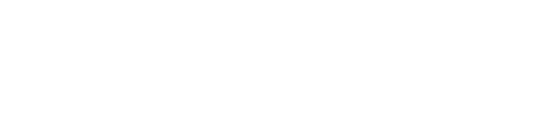 Southern Cone Partners